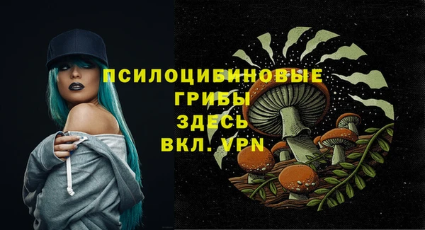 не бодяженный Балахна