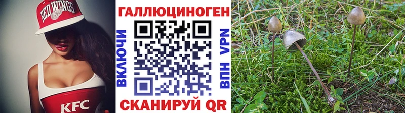 Галлюциногенные грибы Psilocybine cubensis  MEGA сайт  Северо-Курильск 